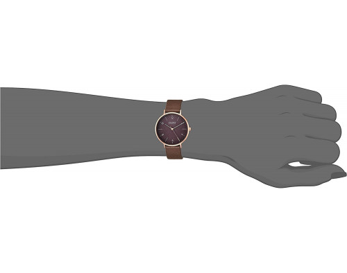 Skagen Aaren Naturals SKW2971 Womens Quartz Watch
