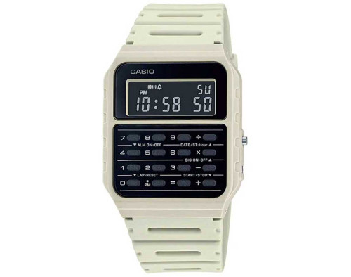 CASIO Databank