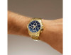 Festina Timeless Chrono F20705/5