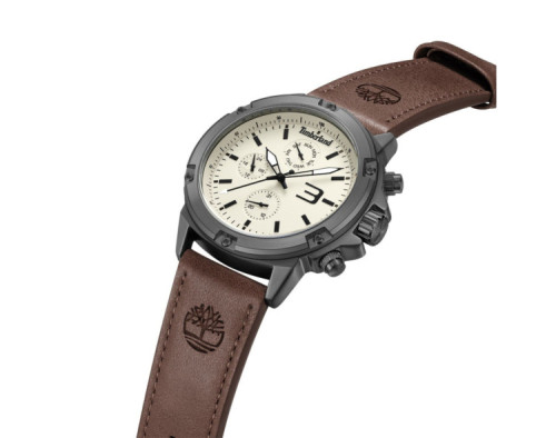 Timberland TDWGF9002903 Montre Quartz Homme