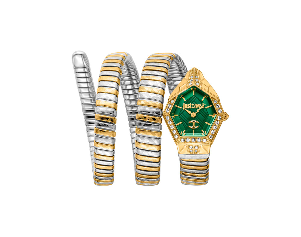 Just Cavalli JC1L304M0065 Montre Quartz Femme Just Cavalli JC1L304M0065 Montre Quartz Femme