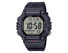 CASIO Collection