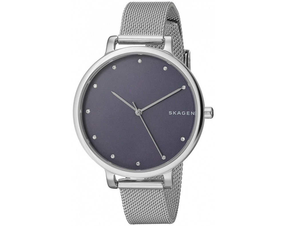 Skagen hagen watch best sale