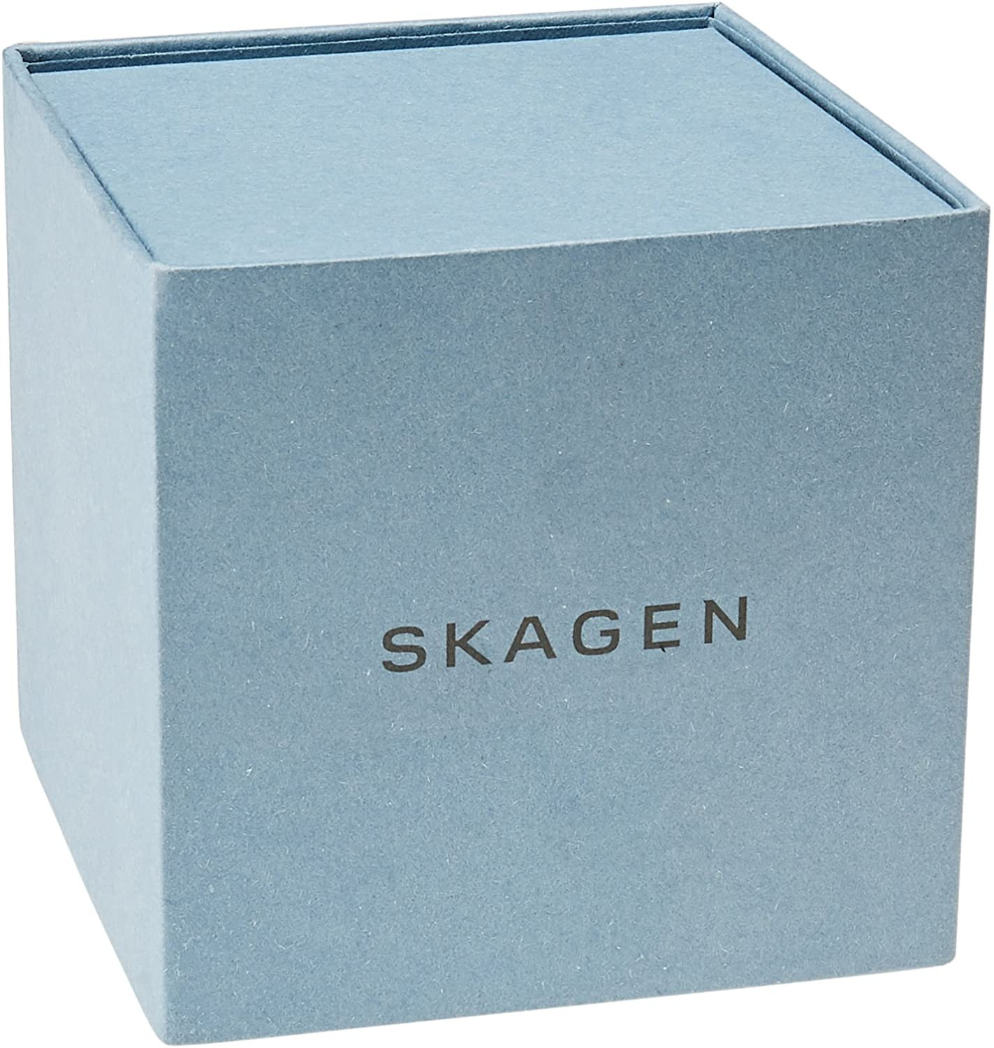 Skagen skw6566 cheap