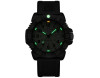 Luminox Sea Lion Carbonox X2.2067.1