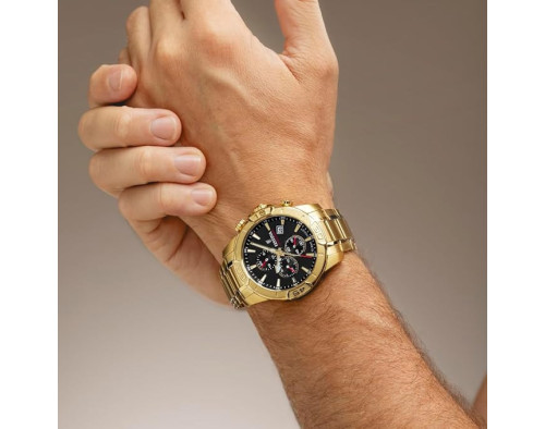 Festina Timeless Chrono F20705/4