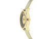 Montre