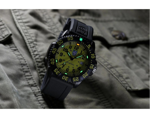 Luminox Sea Lion Carbonox X2.2055.1