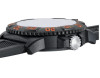 Luminox Sea Lion Carbonox X2.2059.2