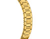 Festina Swiss Made Rivé F20058/2